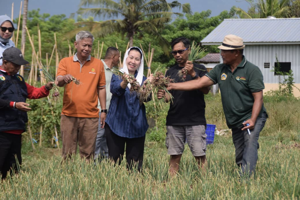 Petani Petobo Genjot Produksi Bawang Goreng, Dorong Swasembada Pangan Lokal