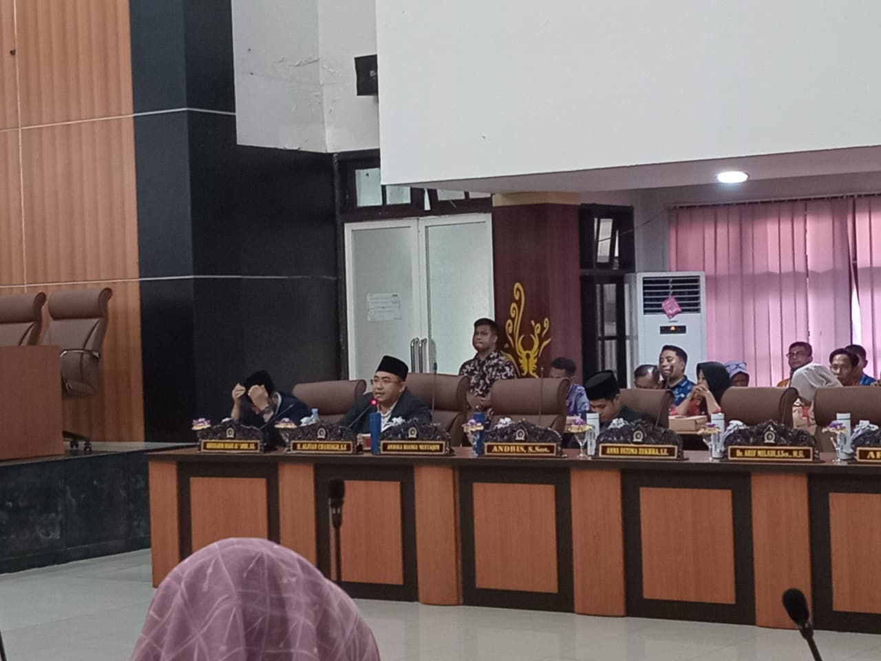 Rentetan Insiden Pohon Tumbang hingga Renggut Nyawa, DPRD Kota Palu Minta Pemkot Bertindak Serius