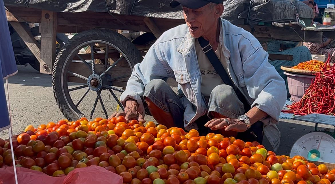 Harga Tomat Anjlok di Palu, Pedagang Keluhkan Sepinya Pembeli